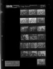Kinston logger rescued (19 Negatives), December 1-2, 1965 [Sleeve 5, Folder c, Box 38]